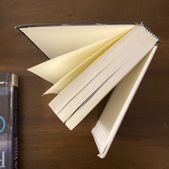 Christine Feehan Large Print Reader’s Bundle (Covert Game & Dark Sentinel) - Picture 13 of 13